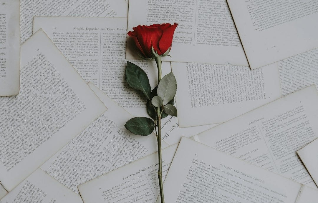 red rose on book sheets