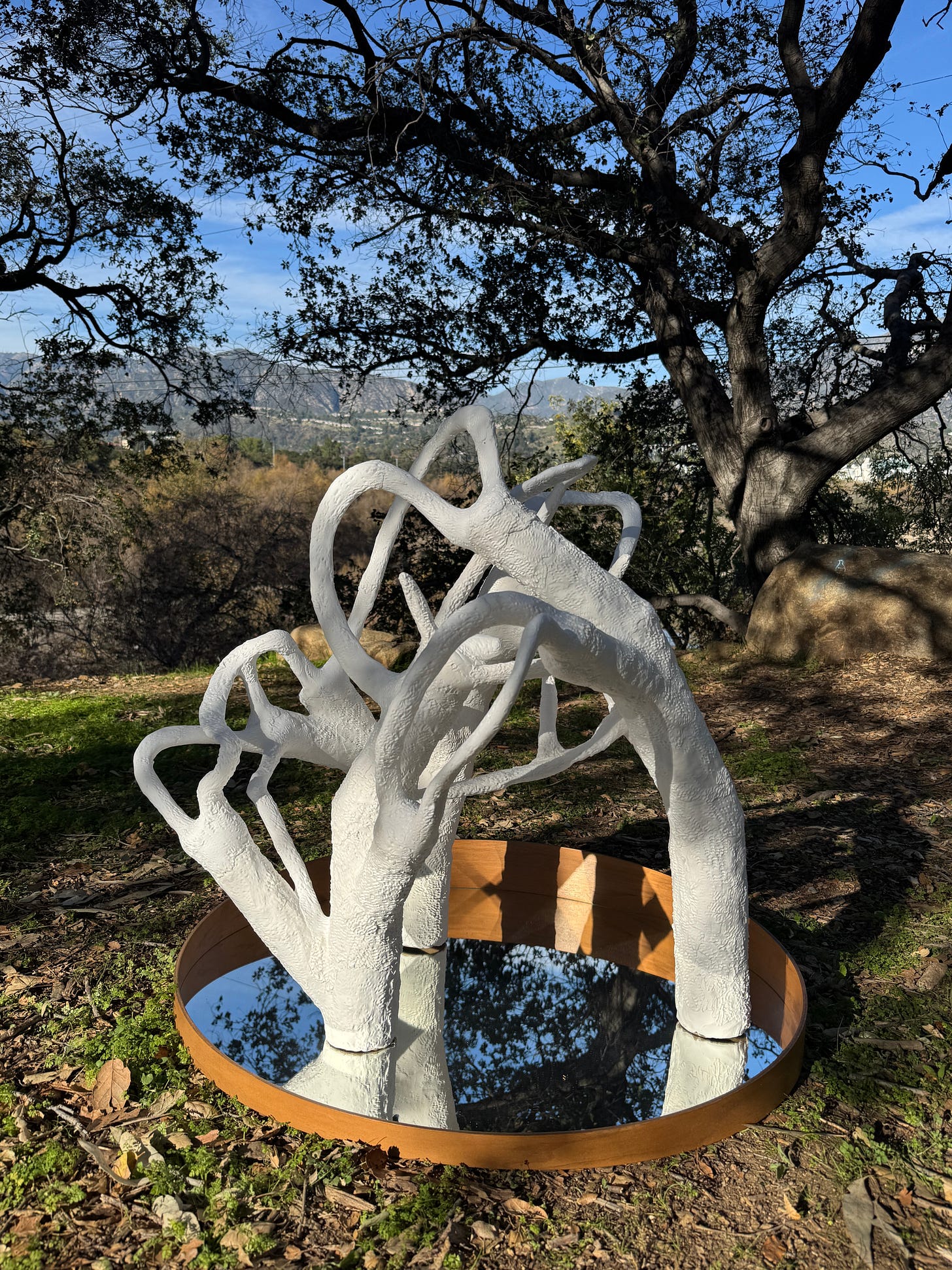 Moti Tavassoli’s clay and cardboard sculpture Myco Tree.