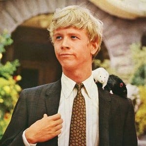 Rats, Pop, and Curated Mania