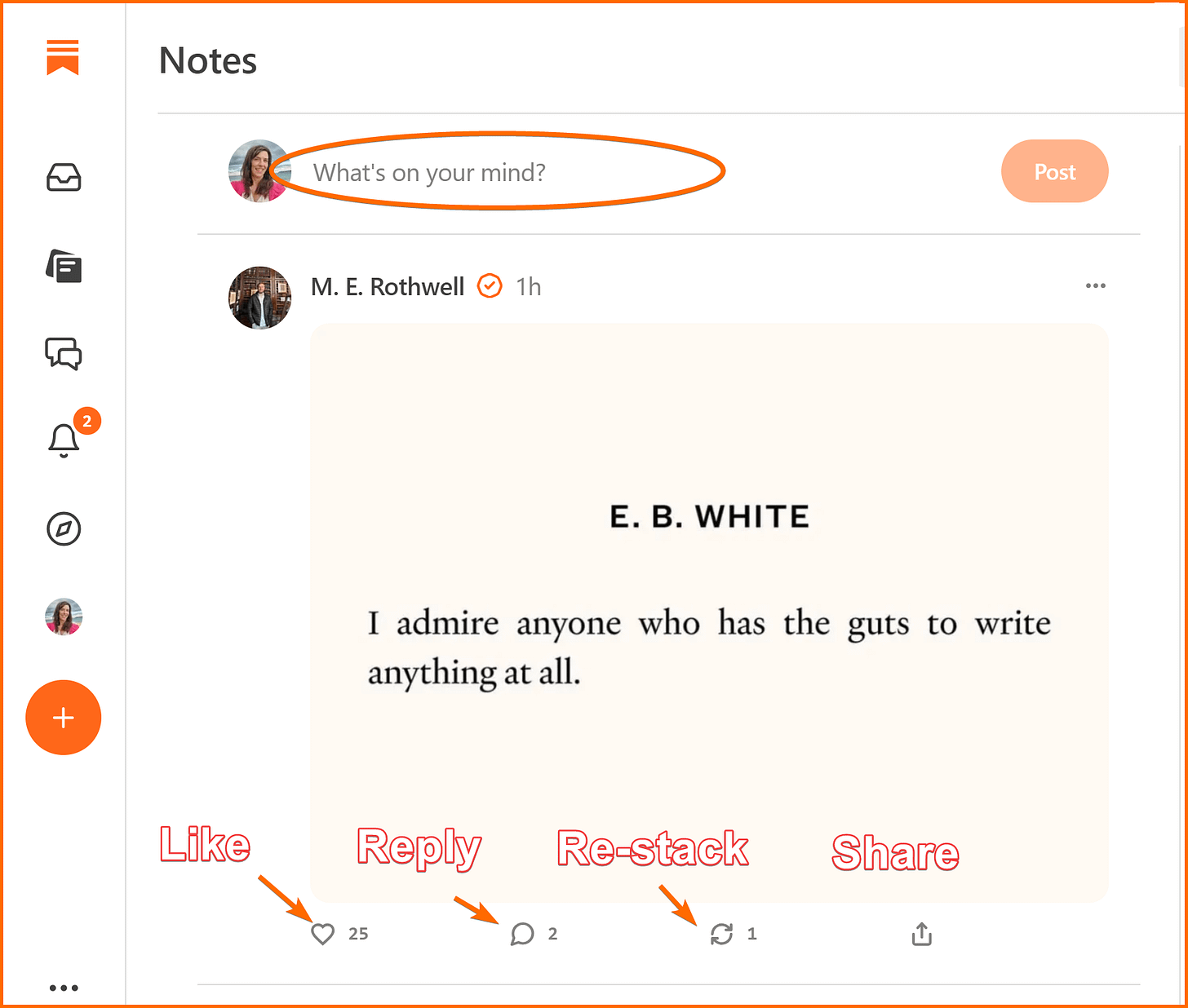 Substack Design Notes How to Use Substack Notes to Get More Subscribers