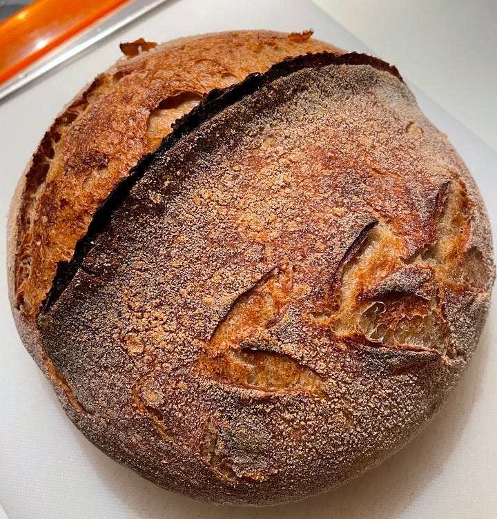 107 yr old rye sourdough starter, cooked sourdough, white bakers flour