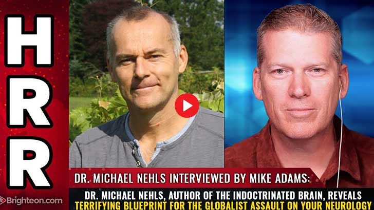 dr michael nehls