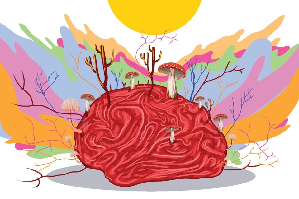 Therapeutic psychedelic medicine is the new approach