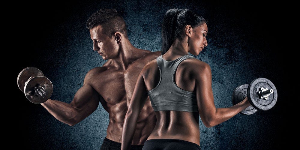 Fitness et Musculation