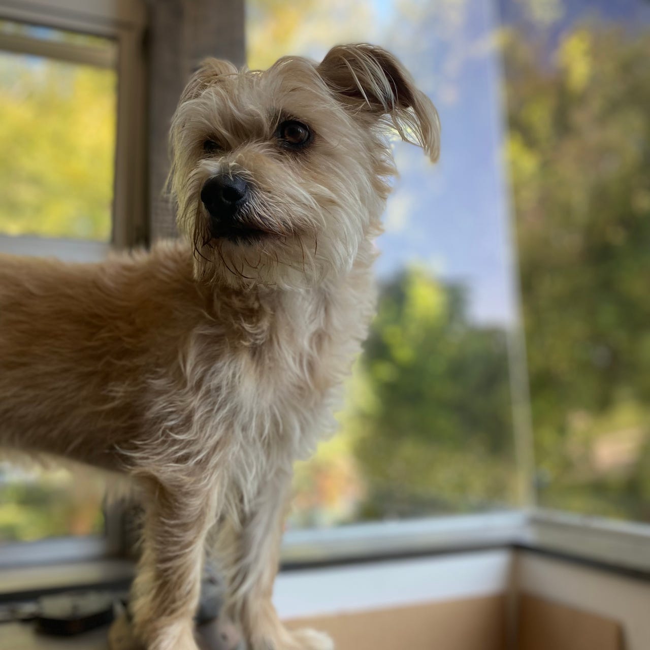 Rex Ogle’s Totally Rad Dispatches from his Book Brain