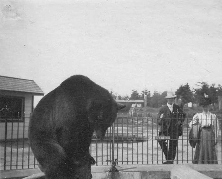 Dear Men From A Man Who Loves Men (2)