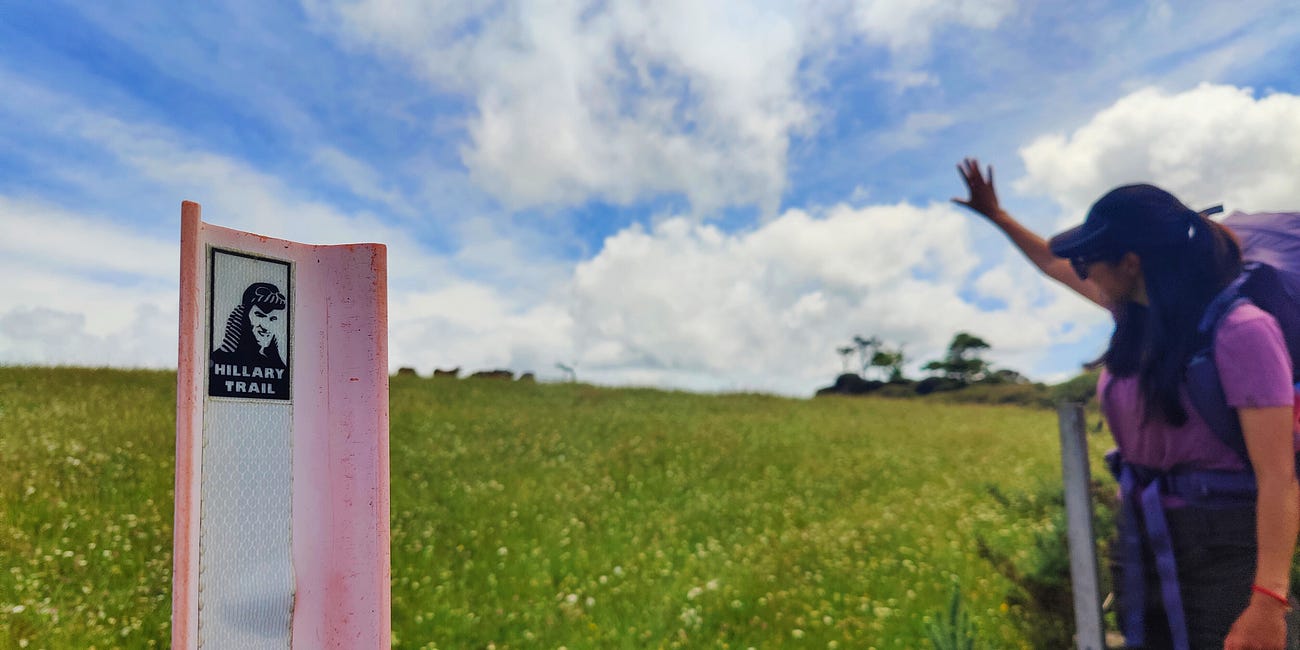 Hiking the Hillary Trail, in the Waitākere Ranges