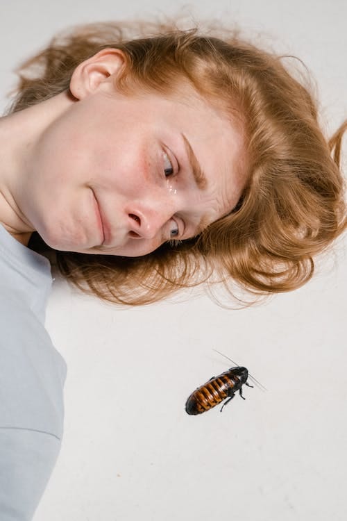 Free Close-Up Photo of a Fearful Woman Lying Down while Overcoming Her Fear of Cockroaches Stock Photo