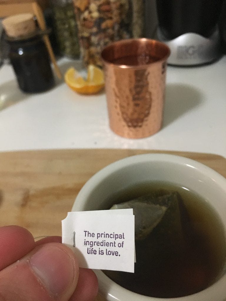 The principal ingredient of life is love.