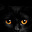 Mary Hunter's avatar
