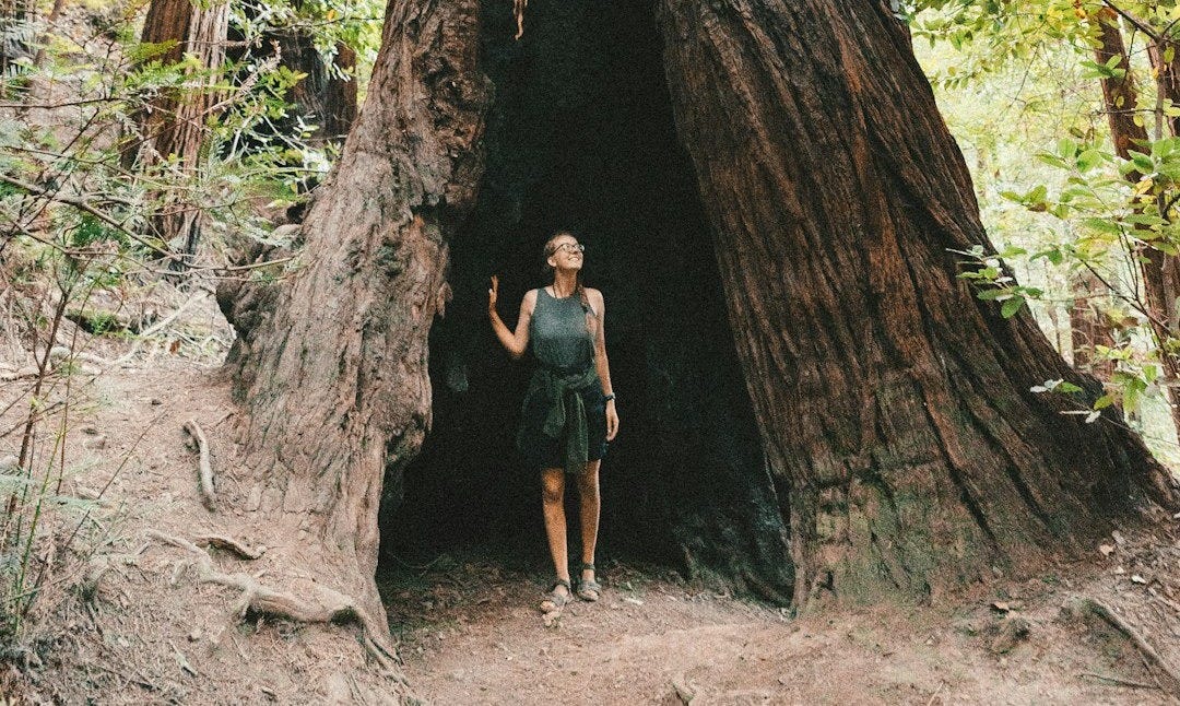 woman standing under tree branch on focus photo