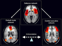 Salience network - Wikipedia