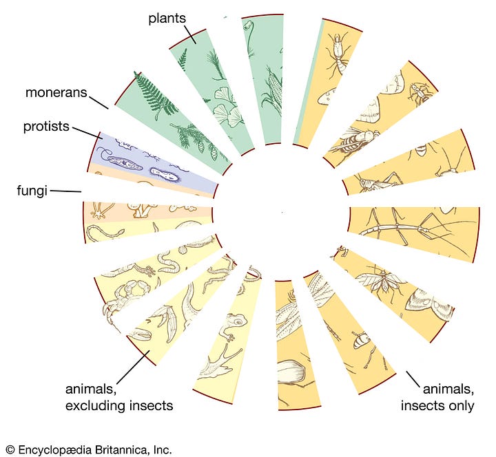 Two images of a wheel of life. One is chopped in half, the other has 15 segments removed every few degrees. The result is that half has been removed, but the shape is still visible.