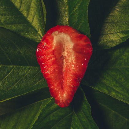 Photo shows the inside of a strawberry cut in half, lying on green leaves, by Ferenc Almasi on Unsplash