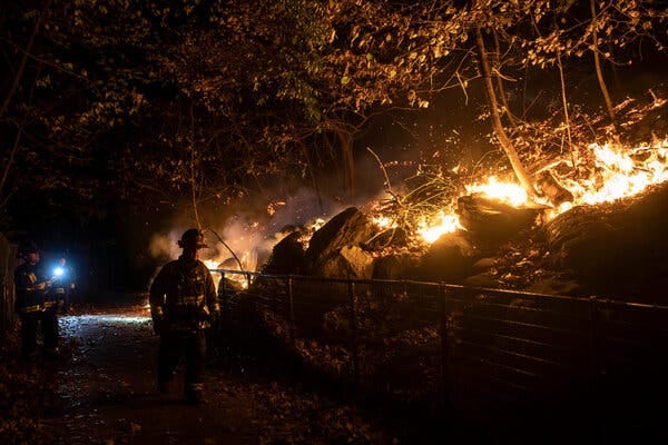 A few firefighters stand near walks a string of fire on a hillside with trees.