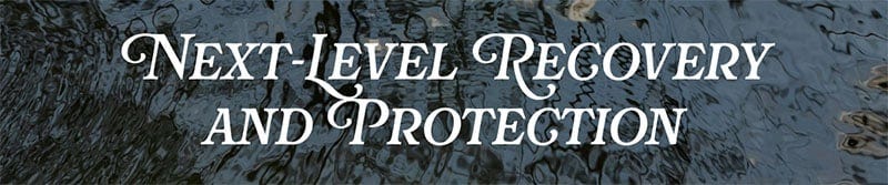 Next-Level Recovery and Protection