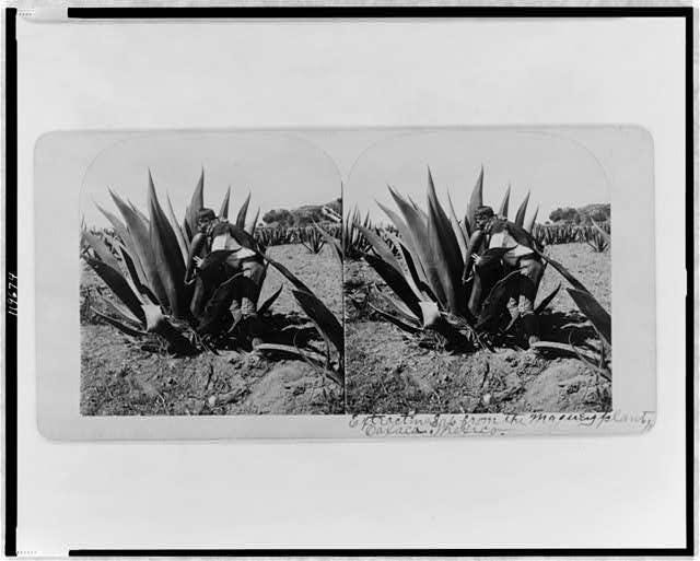 A picture containing photo, gallery

Description automatically generated
