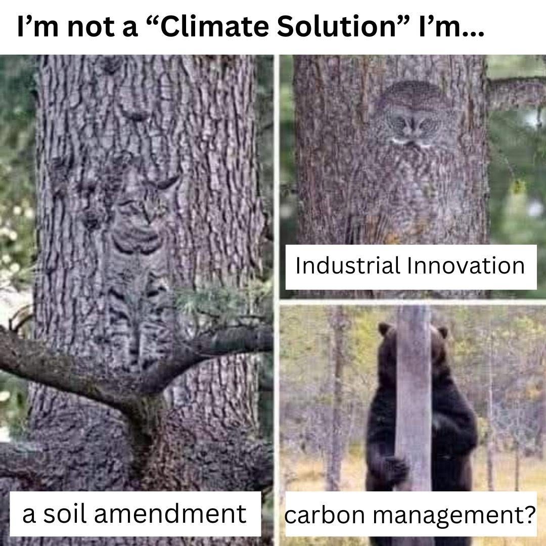 Three photos of animals camouflaged against tree trunks, under the text "I'm not a 'Climate Solution' I'm...". A cat: "a soil amendment". An owl: "Industrial Innovation". A bear behind a narrow post: "carbon management?"