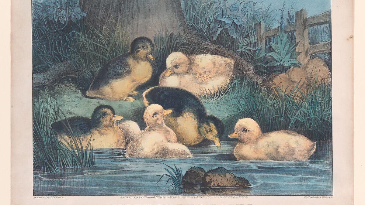 When tech CEOs are like grumpy ducklings