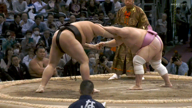 Poll: Who gets the Sumo Stomp! spotlight in January?