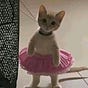 mira's avatar