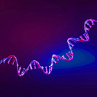 HHS/BARDA-Funded $63 Million Self-Replicating samRNA H5N1 Bird Flu Vaccine One Step Closer to Approval: ARCT-2304 'STAR'