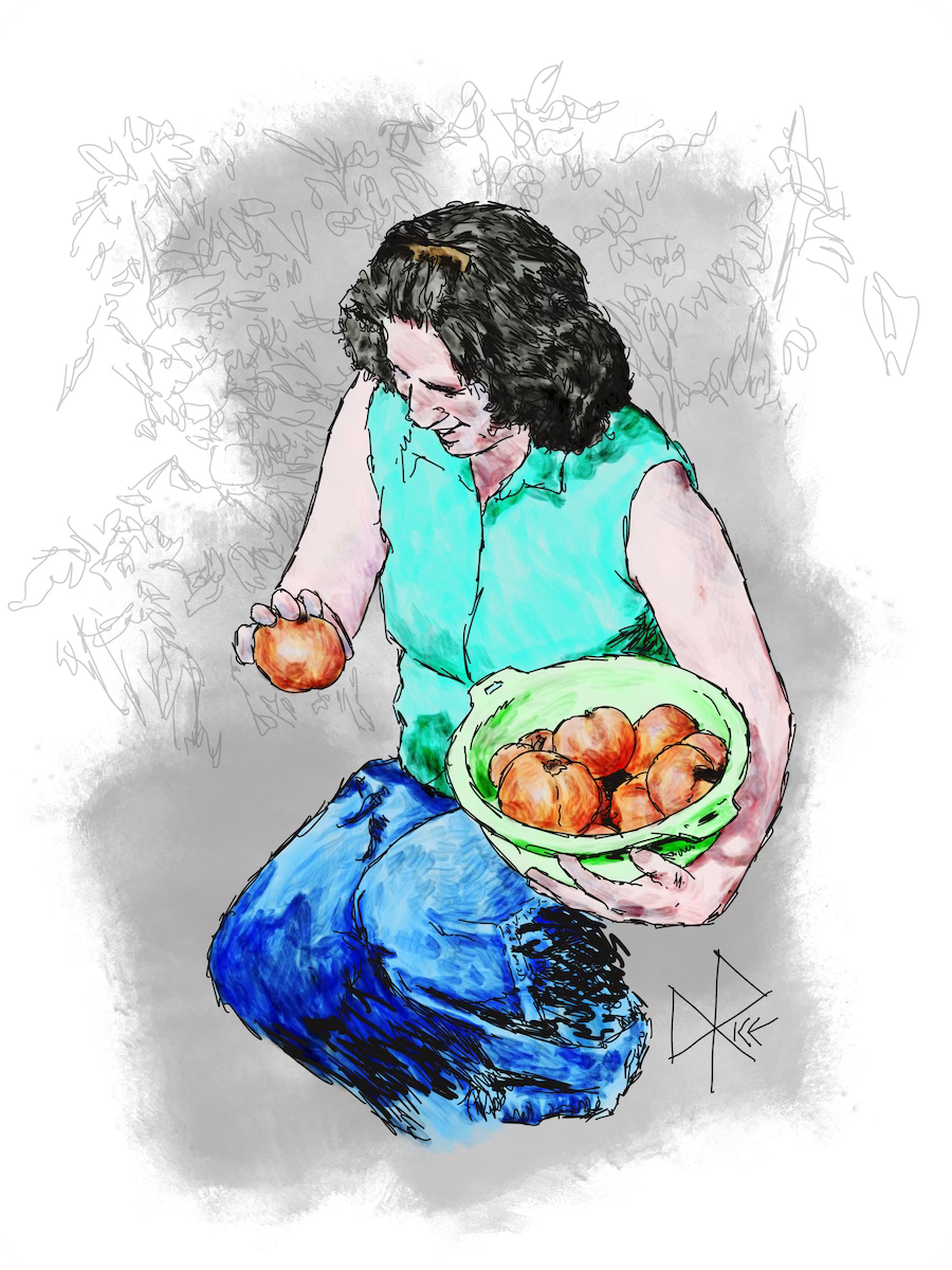 A woman in jeans and sleeveless shirt squats in her garden, smiling and harvesting tomatoes and placing them in the bowl held at her hip. Sketch art by Don Rice.