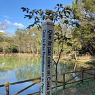 Collaborative Peace Poetry Workshop
