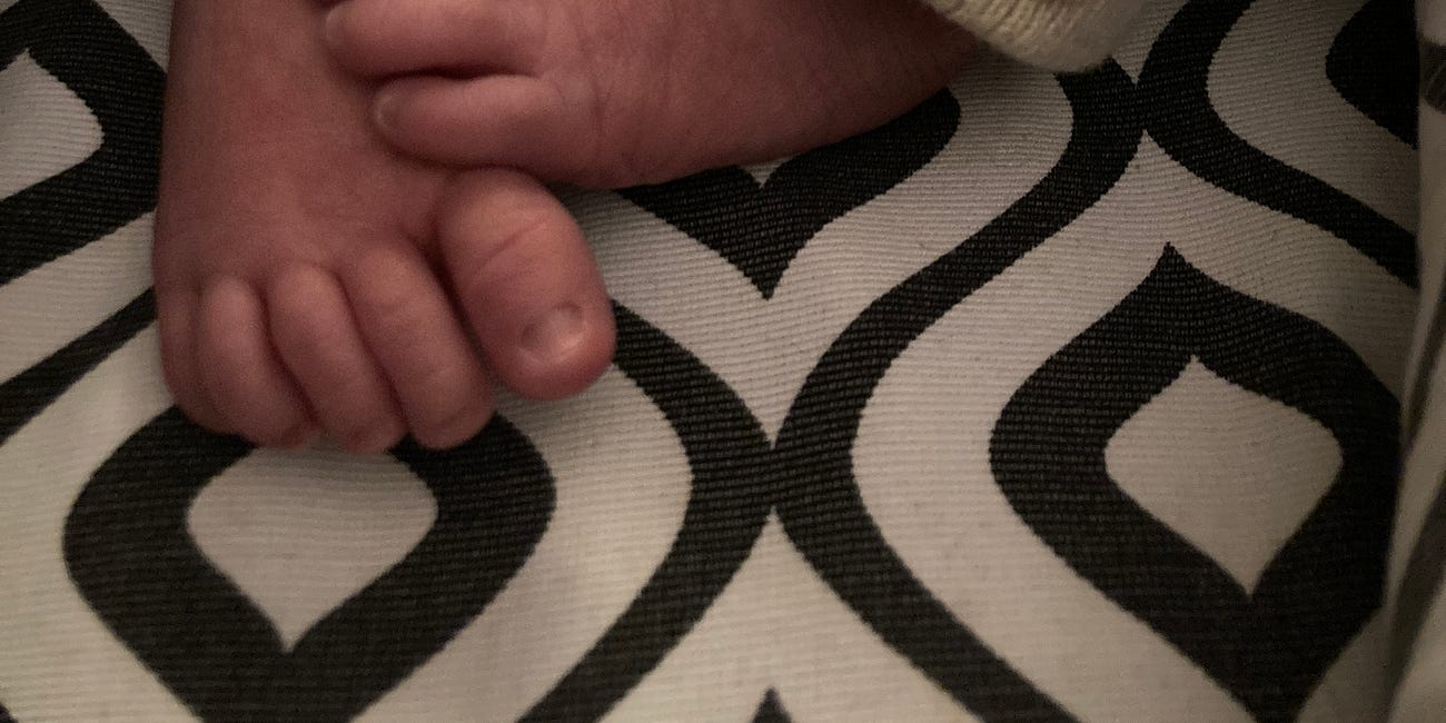 Where Will The Baby Go