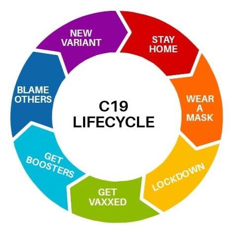 May be an image of text that says 'NEW VARIANT STAY HOME BLAME OTHERS C19 LIFECYCLE WEAR A MASK BOOSTERS GET GET VAXXED LOCKDOWN'