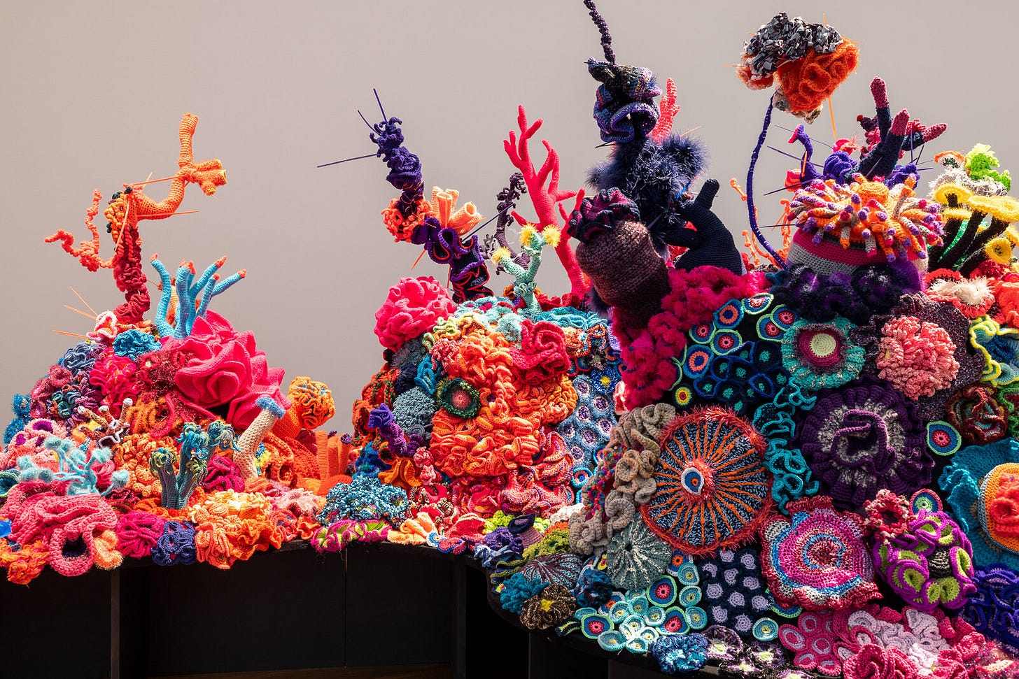 Margaret and Christine Wertheim: Value and Transformation of Corals -  Announcements - e-flux