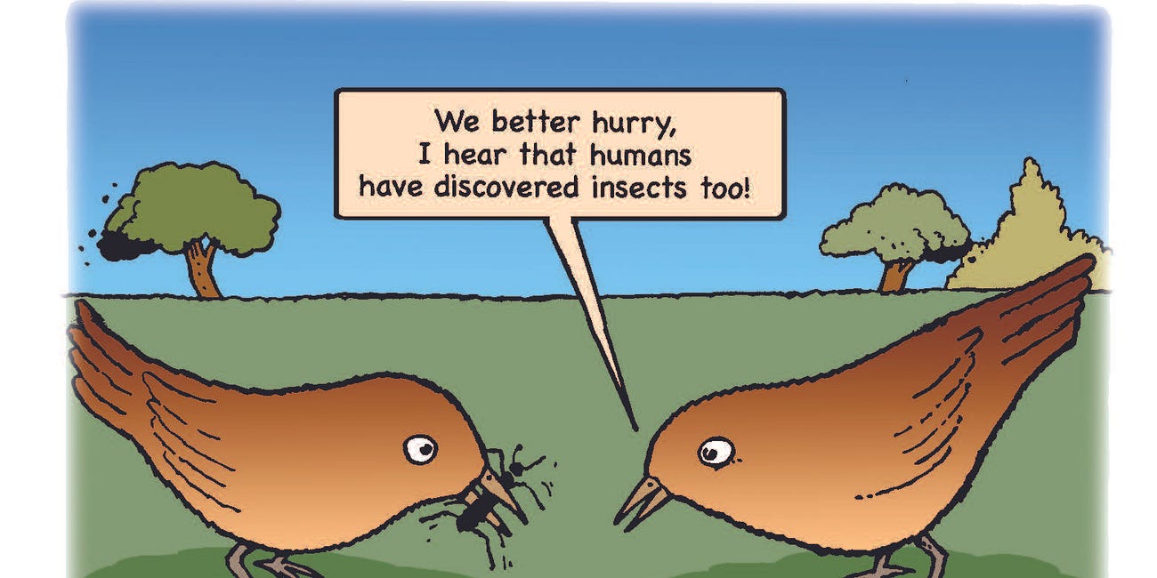 The Thing on Your Plate Is Not a Bug