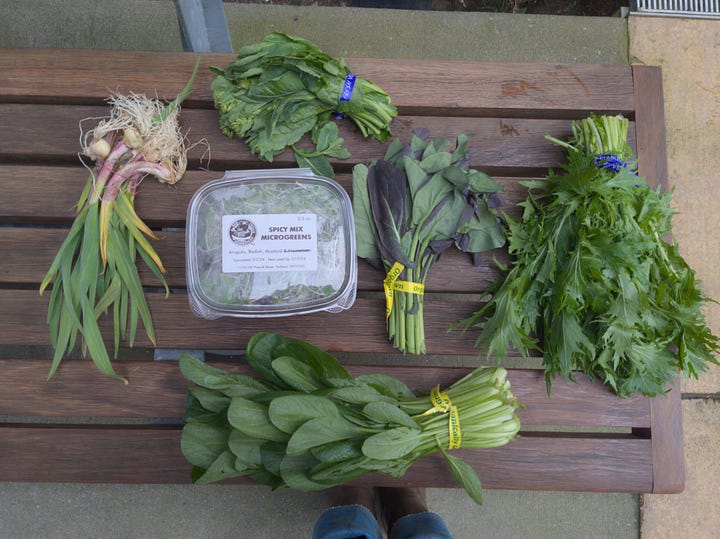 bicycle on the Hawthorne bridge, and a farmers market early Spring shopping trip goods