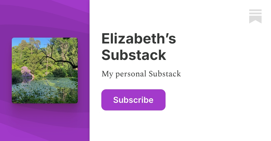 Elizabeth’s Substack | Substack