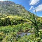 One month and nine months later