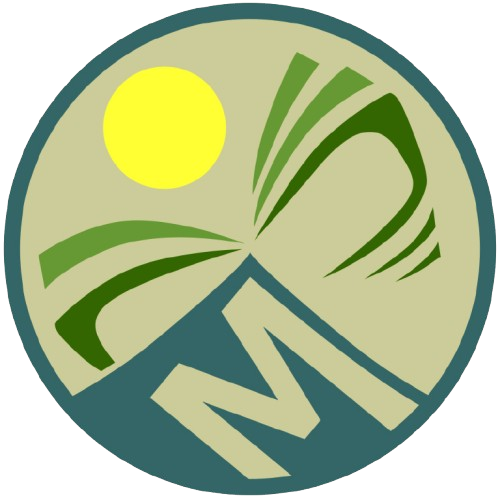 Meant to Solve by Mae Salinas