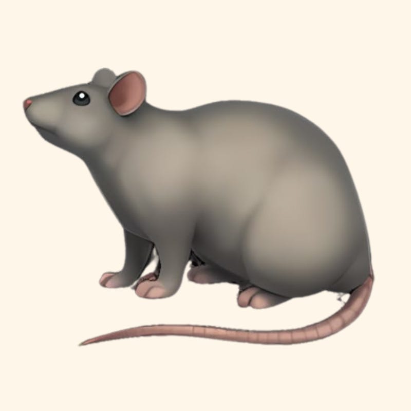 Artwork for Campaign Rat
