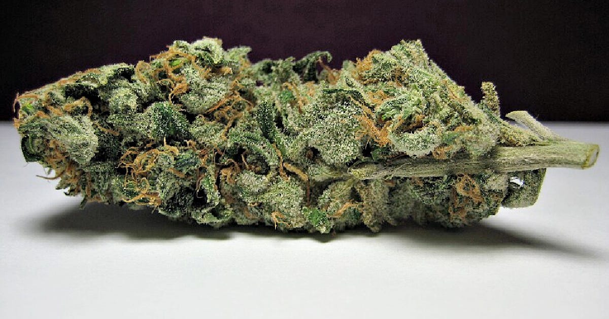 Canadian Surplus Weed is Being Smuggled, Flooding the Port of Antwerp and ‘Turning Belgium Into a Narco State’ – Paul Serran