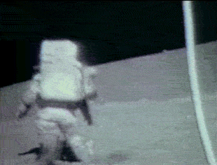 IMG_1884.gif