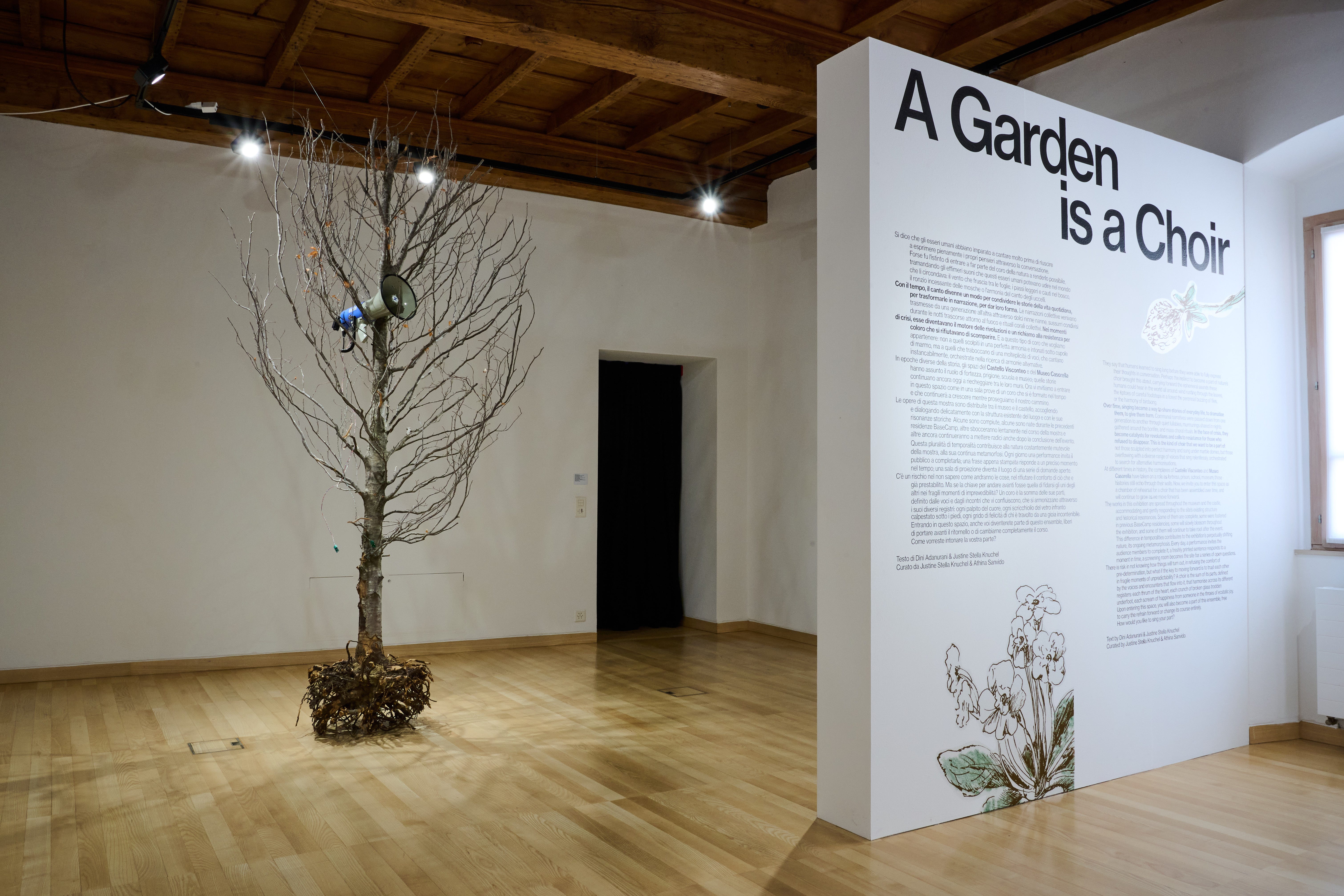 Inside BaseCamp: Curating a Site-Specific Art Programme at the Locarno Film Festival