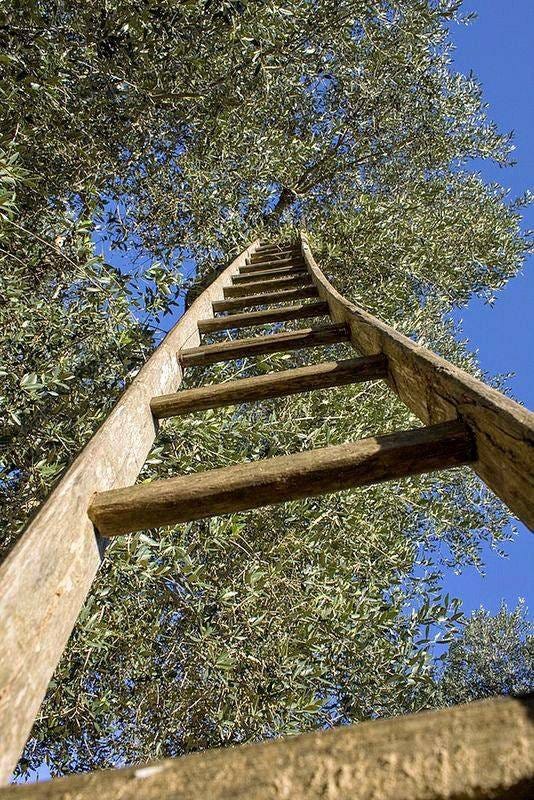 No photo description available.