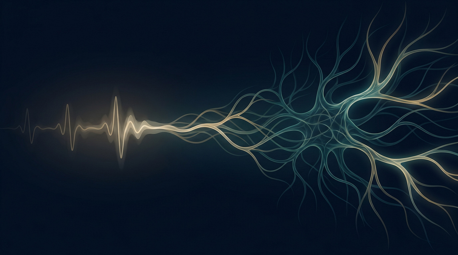 An abstract visualization of biological escalation showing a faint heartbeat wave gradually intensifying into a complex branching nervous system pattern, rendered in midnight navy, teal, and gold — representing a body's signal growing louder when it isn't heard.
