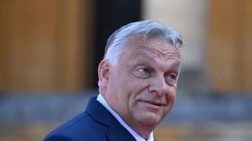 Russia has adapted to sanctions – EU state’s PM 