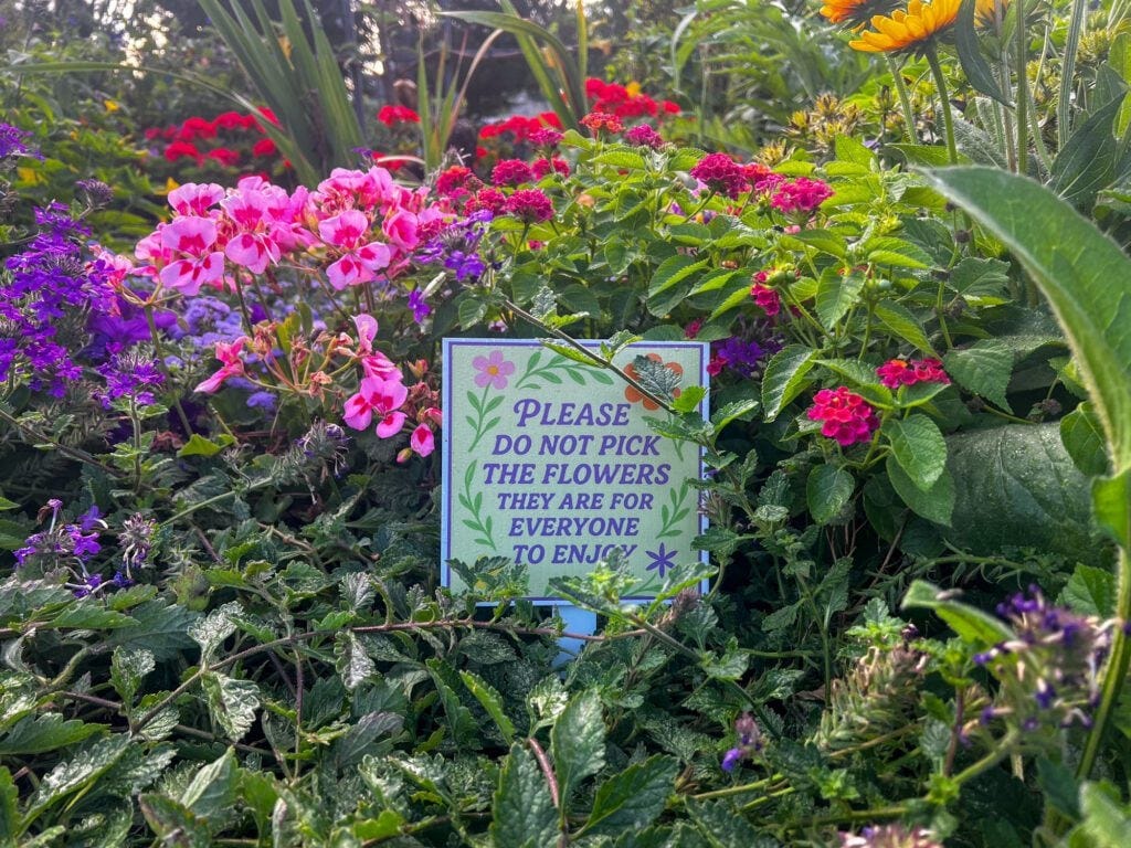 Community-Garden-in-The-Fan-by-R-Anthony-Harris_RVA-Magazine-2025