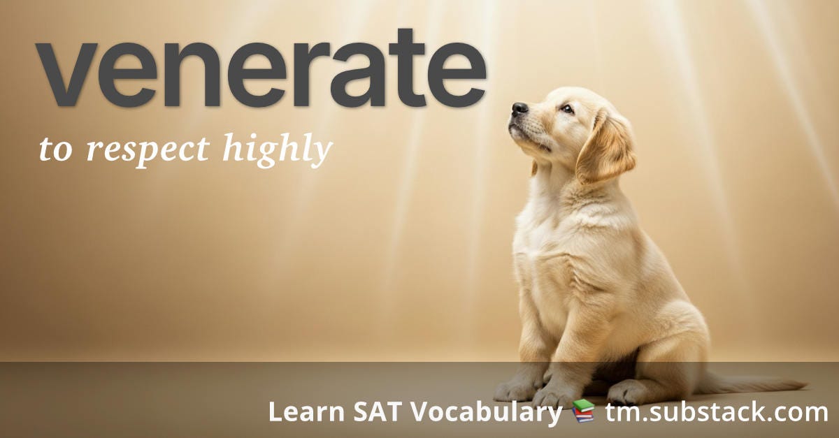 Venerate -- SAT word card: puppy gazing upward in warm light, conveying high respect.