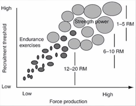 BURNING FAT THROUGH PROGRAM DESIGN - BEHIND THE BLOCK — ALLEGIATE