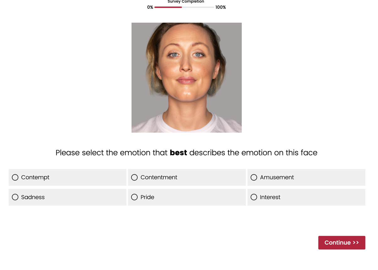 A screenshot of a computer

Description automatically generated