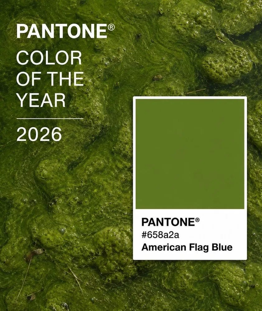 A photo of algae with white letters in the upper left: Pantene Color of the year 2026 and a paint chip appearing box with a solid block the color of the algae labeled Pantone #658a2a American Flag Blue.