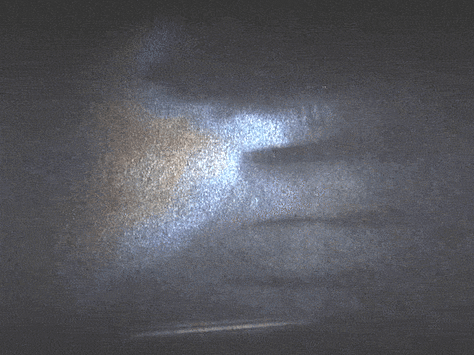 maging of pulse waves on the surface of the hand and a frog by holographic photoplethysmography 