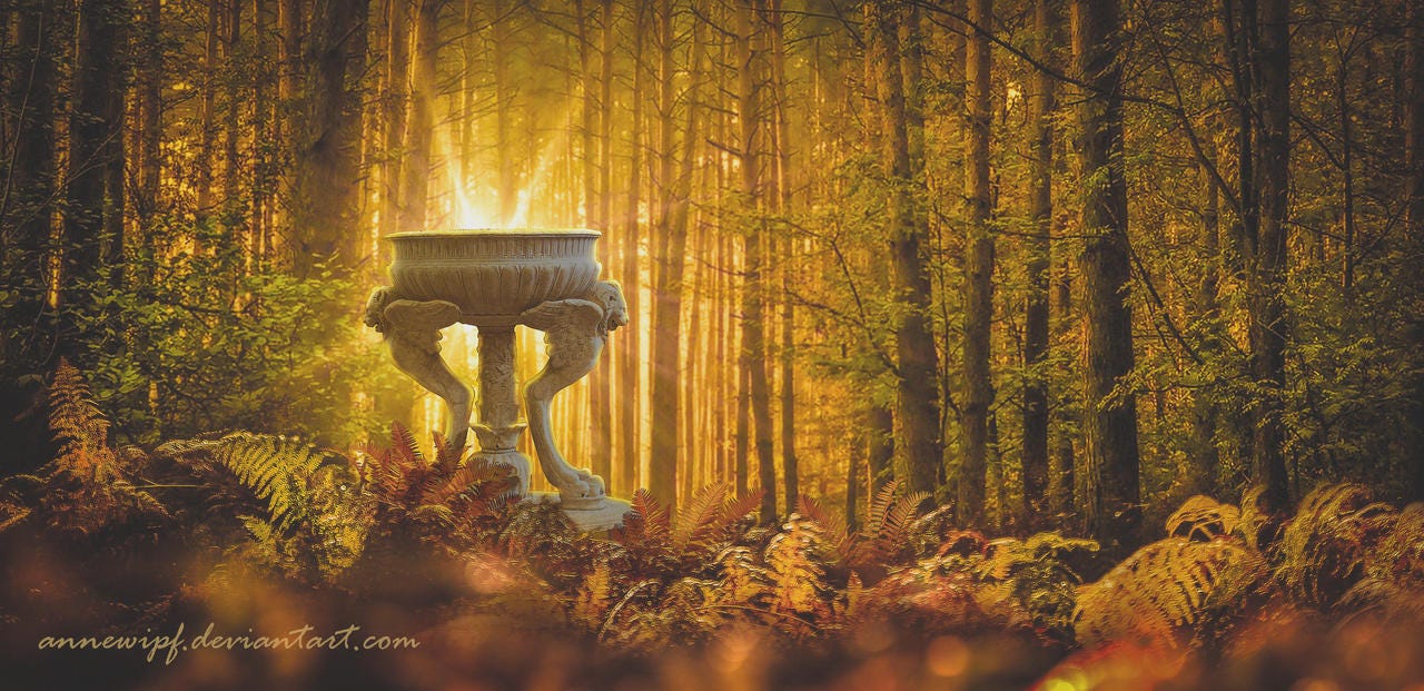 Elven Woods Elven Woods